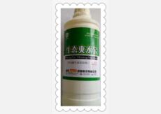 &#30343;&#20896;